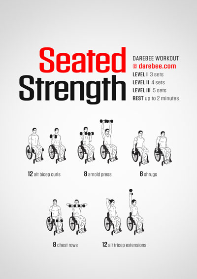 Seated Workouts Collection