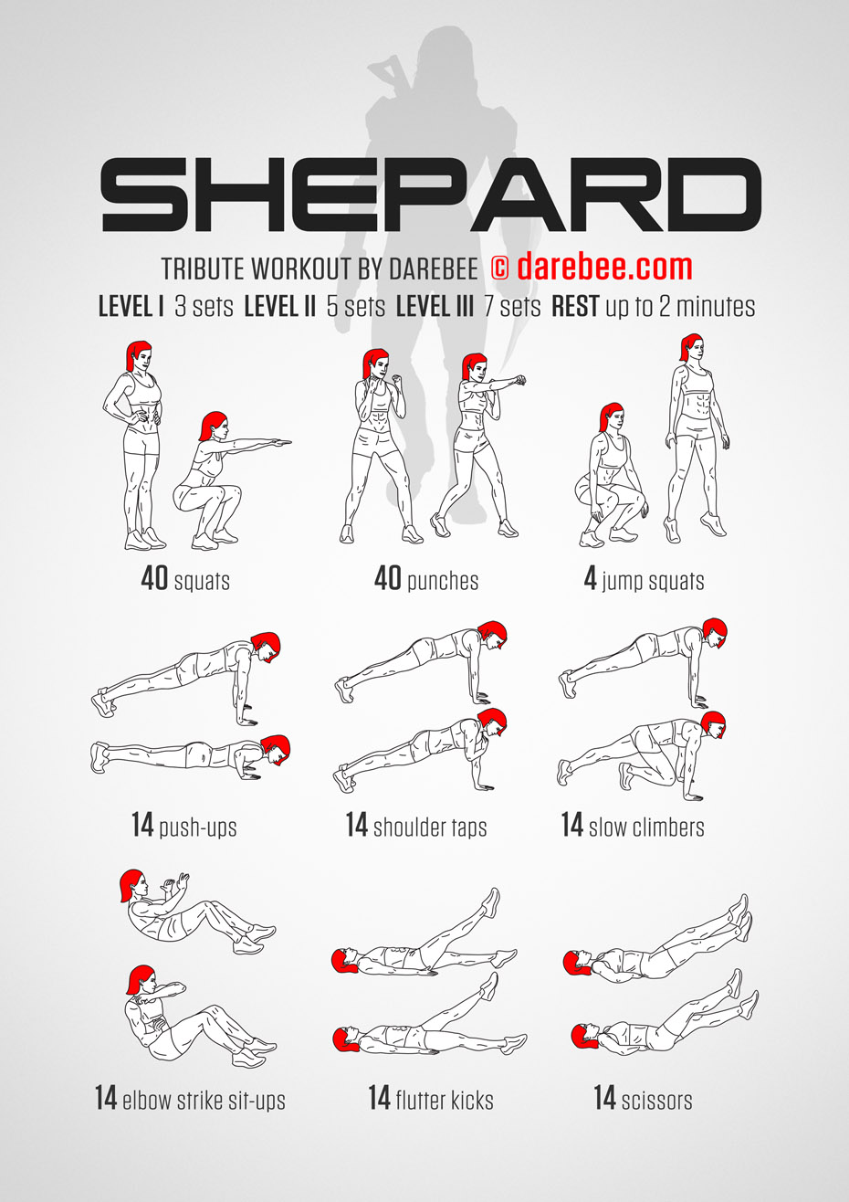 Shepard Workout