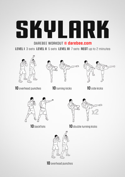 Skylark is a DAREBEE home workout that uses no equipment and is combat-moves based for a total body approach to physical fitness.