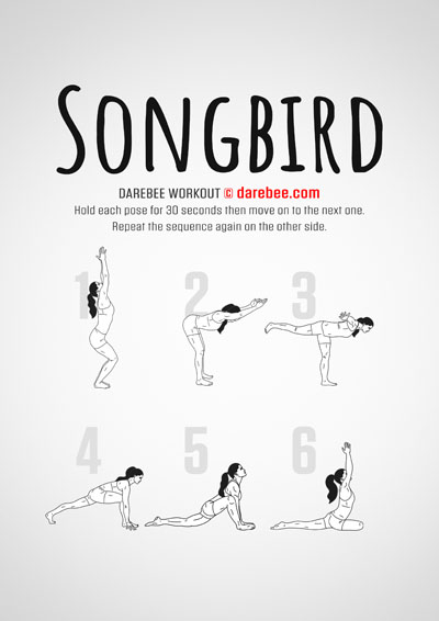 Songbird is a difficulty Level IV isometric workout that will improve your overall fitness level. 