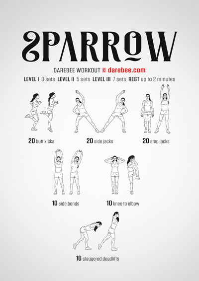 Sparrow is a DAREBEE home fitness aerobic and cardiovascular workout that helps you improve your aerobic endurance and overall cardiovascular health.