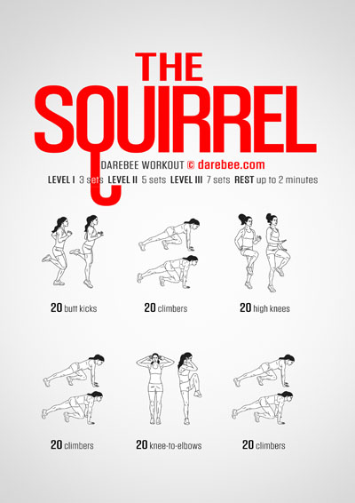 The Squirrel is a Darebee no-equipment home fitness workout designed to make you fast and make you nimble