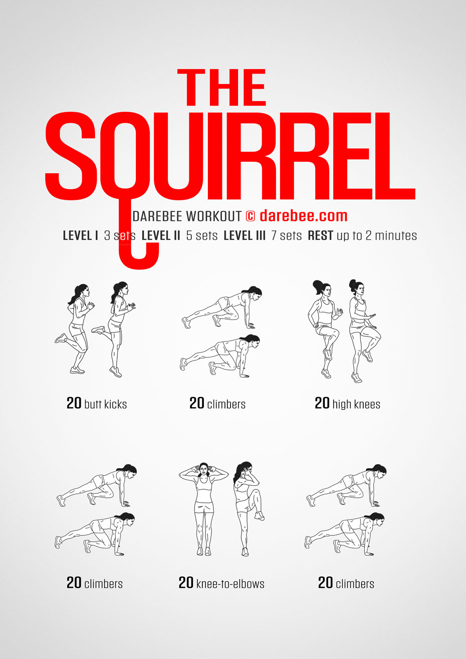 The Squirrel is a Darebee no-equipment home fitness workout designed to make you fast and make you nimble