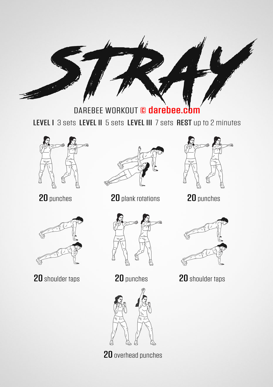 Stray is a DAREBEE home fitness, no equipment workout that works the entire body and will leave you feeling better as well as fitter.