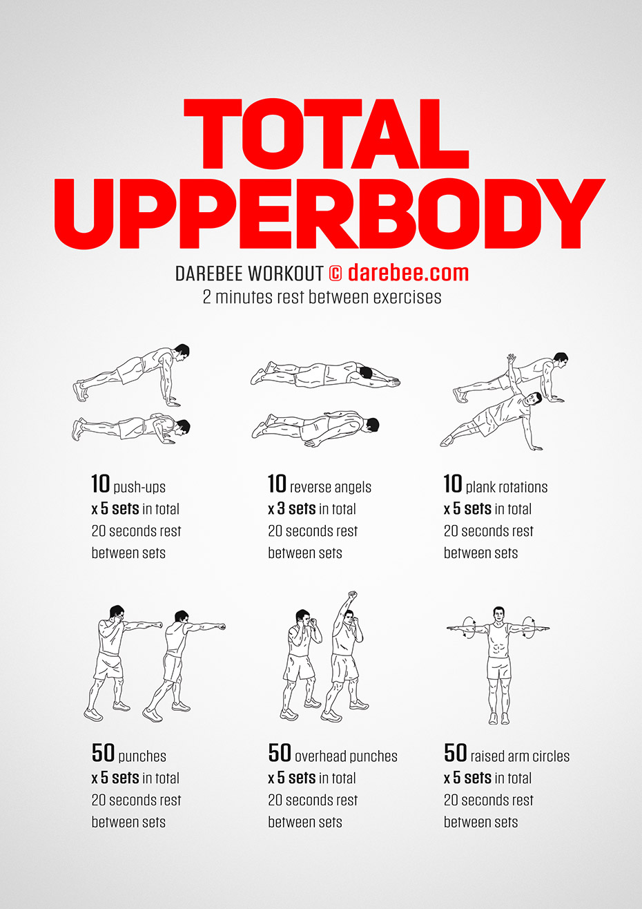 best upper body workouts | Amtworkout.co