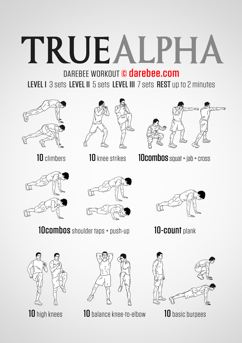 True Alpha Workout