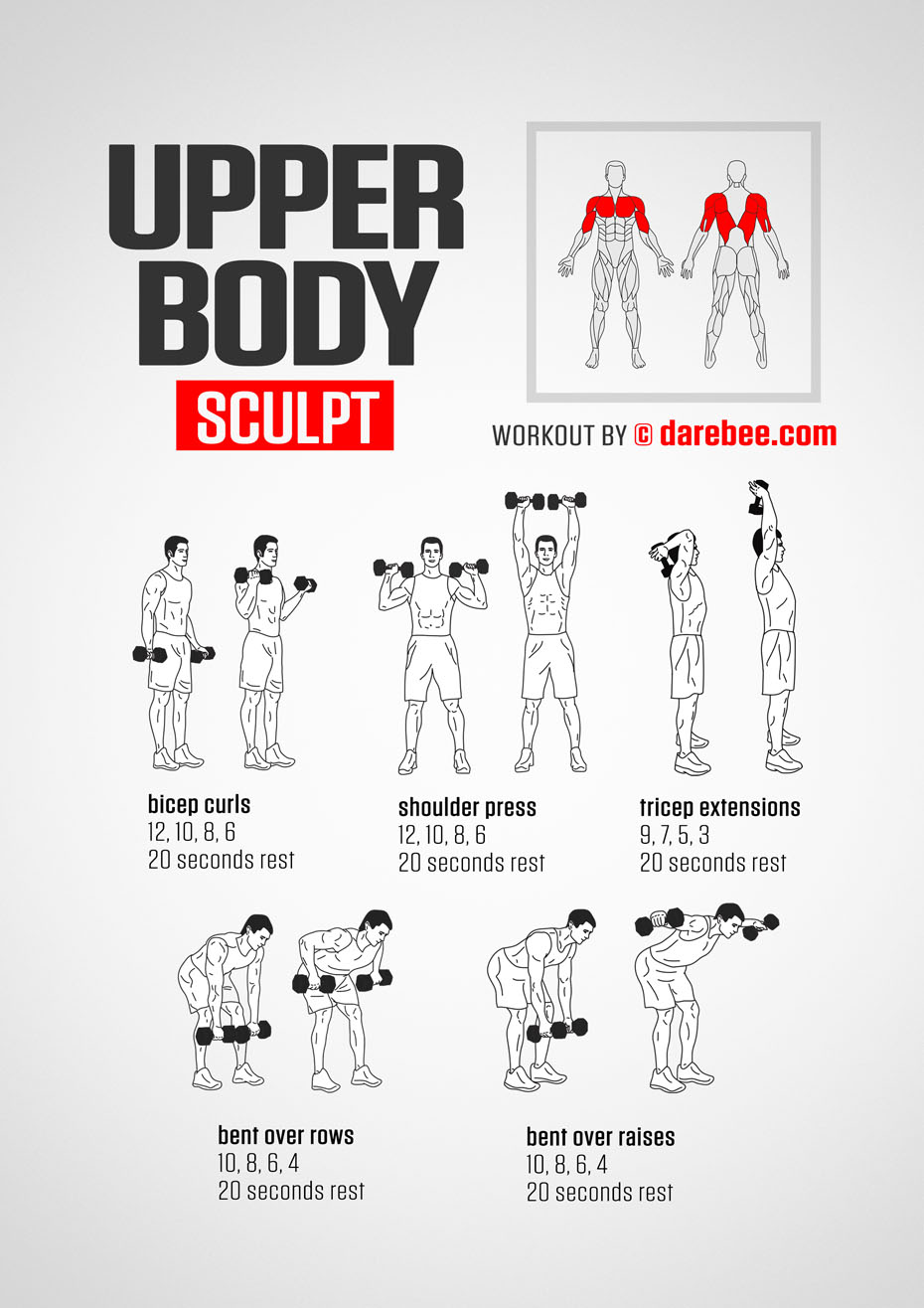 Upper body!  Beginner upper body workout, Upper body workout, Gym
