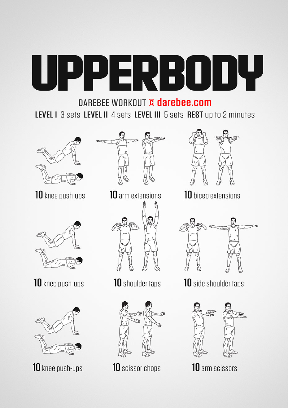 Beginner upper body workout for women - PDF printable program