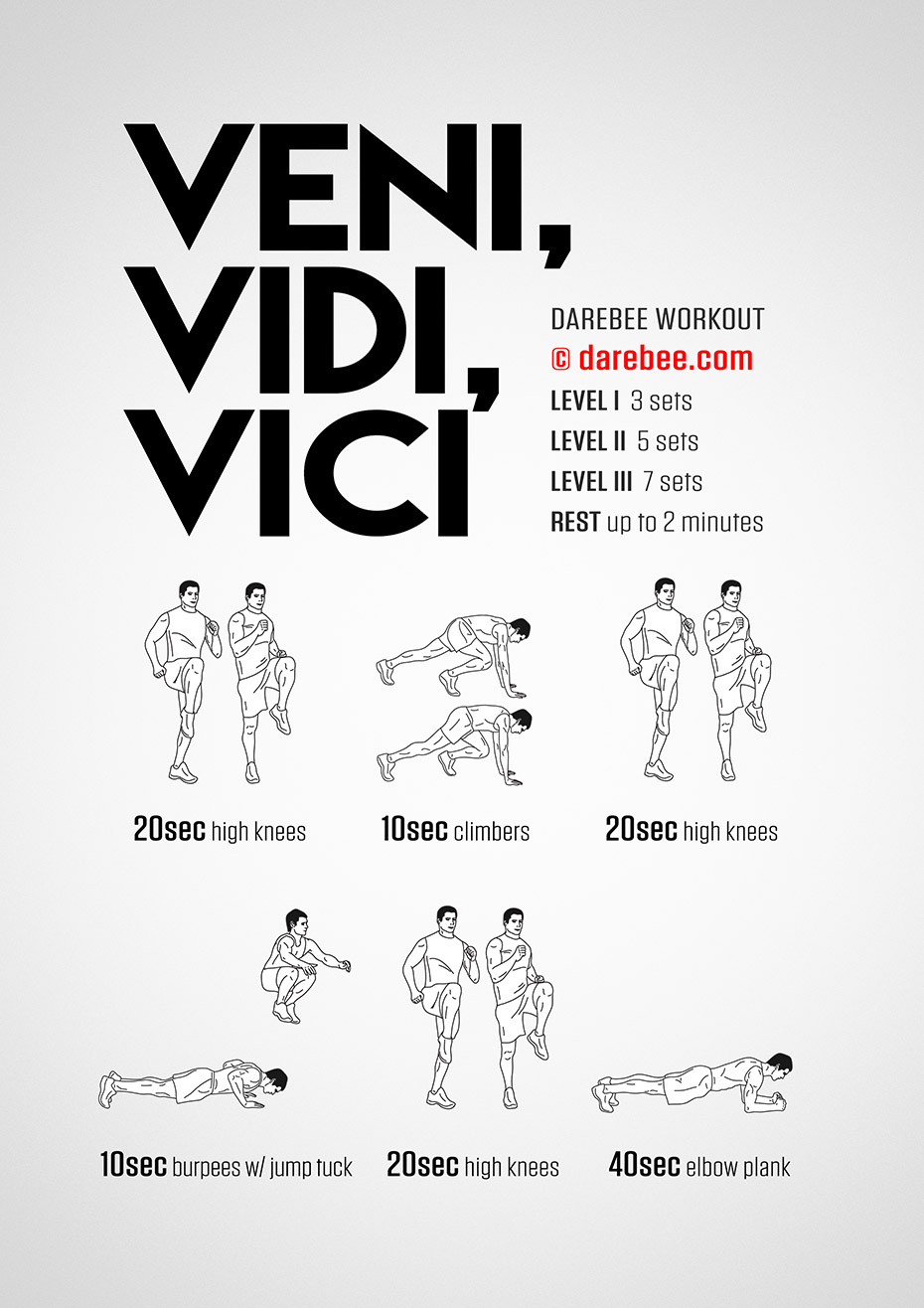 What Does Veni Vidi Vici Mean? Why Do People Say It?
