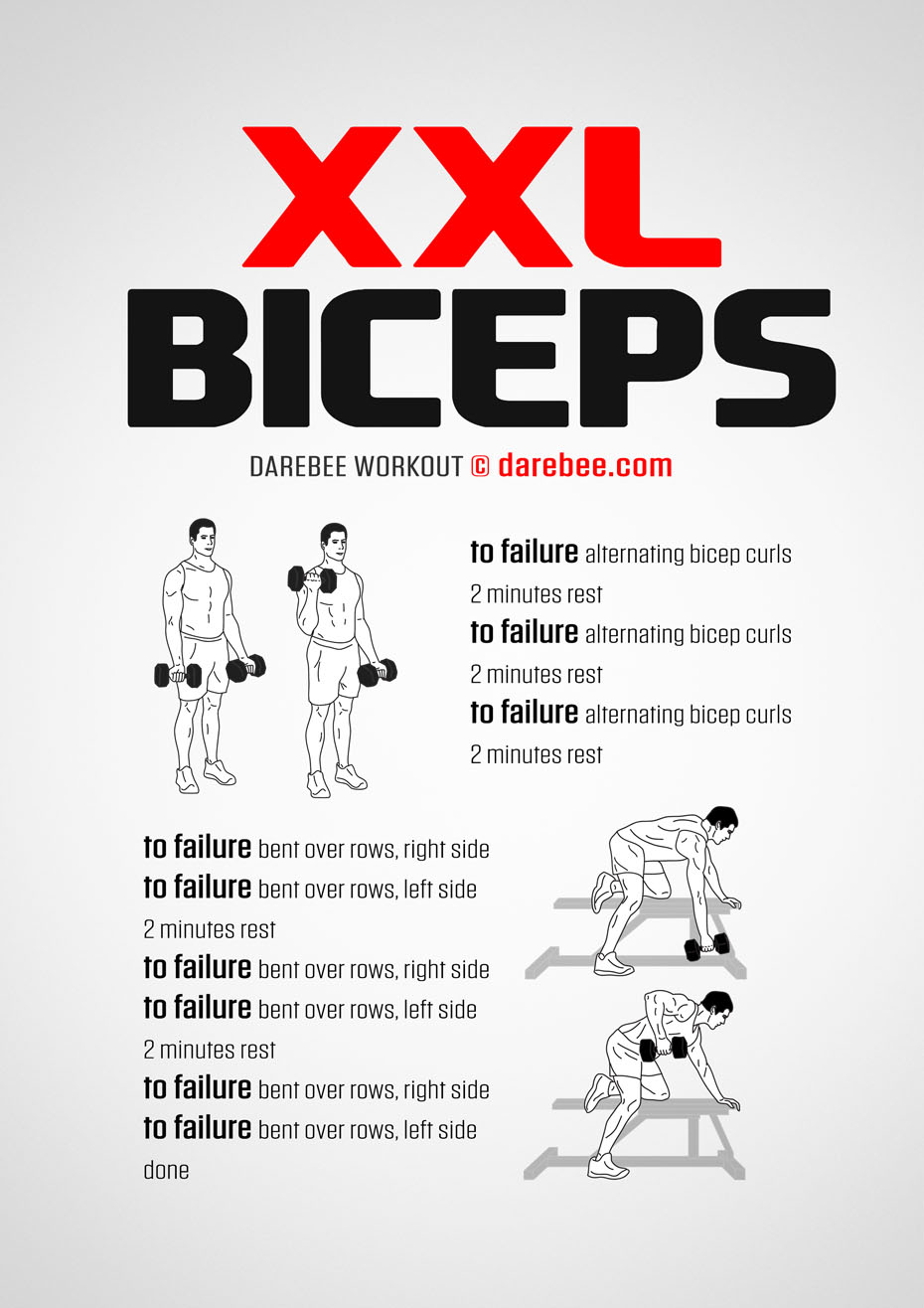 Best Back and Bicep Workouts for Building Strength - Hevy